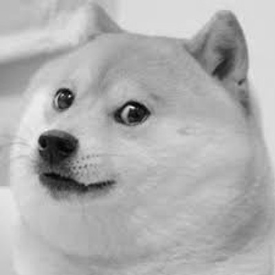 DistributedDoge